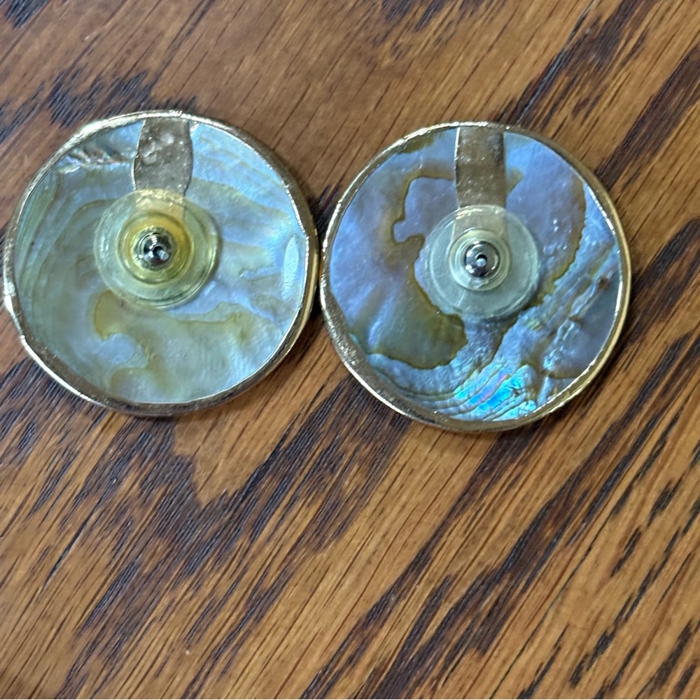 Abalone Shell Flat Button Earrings - image 3